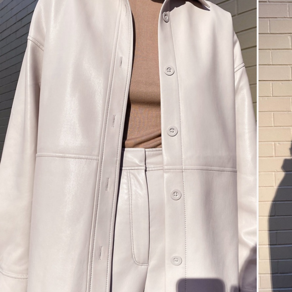 Aritzia Pelli jacket